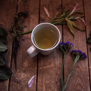 Té de Montaña Griego (Sideritis) — 50g